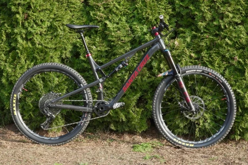 DSC02968 Santa Cruz Bronson.webp