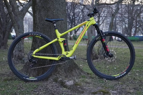 DSC02808 Bergamont Contrail.webp