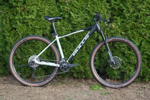 DSC02947 Bulls Cooperhead 3.webp