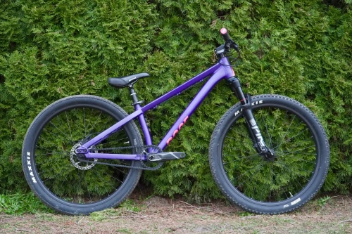 DSC03293Purple 2.webp